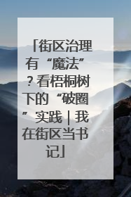街区治理有“魔法”？看梧桐树下的“破圈”实践｜我在街区当书记