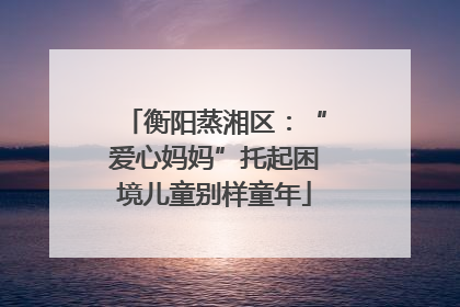 衡阳蒸湘区：“爱心妈妈”托起困境儿童别样童年