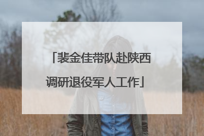 裴金佳带队赴陕西调研退役军人工作