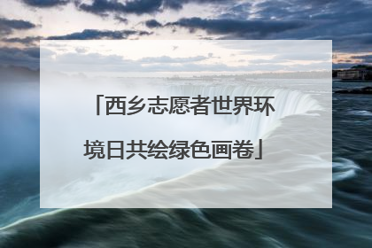 西乡志愿者世界环境日共绘绿色画卷