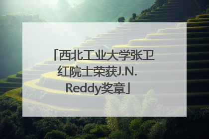 西北工业大学张卫红院士荣获J.N.Reddy奖章