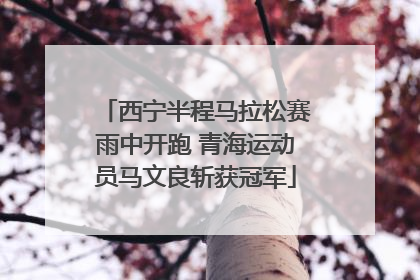 西宁半程马拉松赛雨中开跑 青海运动员马文良斩获冠军