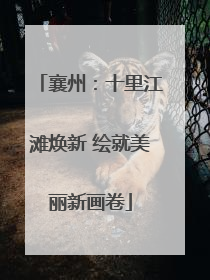 襄州：十里江滩焕新 绘就美丽新画卷