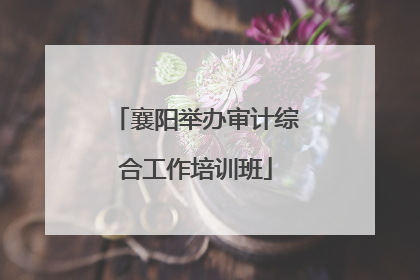 襄阳举办审计综合工作培训班