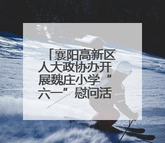 襄阳高新区人大政协办开展魏庄小学“六一”慰问活动
