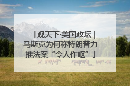 观天下·美国政坛｜马斯克为何称特朗普力推法案“令人作呕”