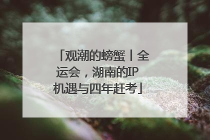 观潮的螃蟹丨全运会，湖南的IP机遇与四年赶考
