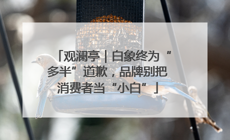 观澜亭｜白象终为“多半”道歉，品牌别把消费者当“小白”