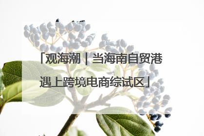 观海潮｜当海南自贸港遇上跨境电商综试区