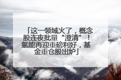 这一领域火了，概念股连夜批量“澄清”！氢能再迎重磅利好，基金重仓股出炉