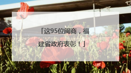 这95位闽商，福建省政府表彰！