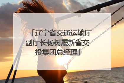 辽宁省交通运输厅副厅长杨树履新省交投集团总经理