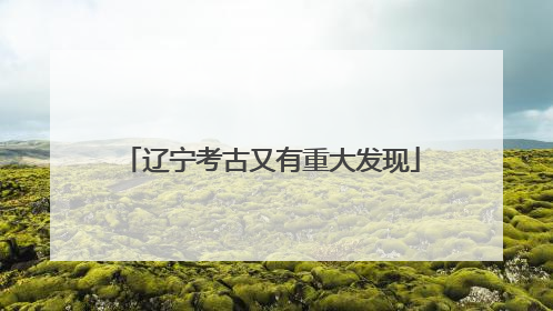 辽宁考古又有重大发现