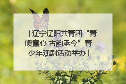 辽宁辽阳共青团“青暖童心 古韵承今”青少年观剧活动举办