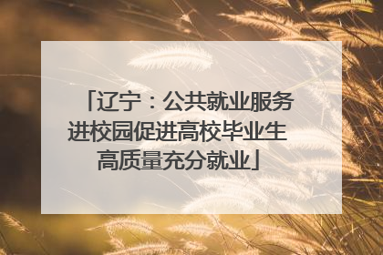 辽宁：公共就业服务进校园促进高校毕业生高质量充分就业