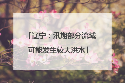 辽宁：汛期部分流域可能发生较大洪水
