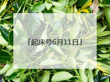 起床号6月11日