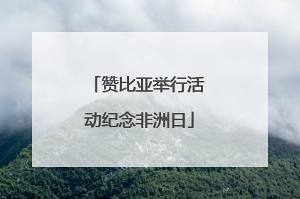 赞比亚举行活动纪念非洲日