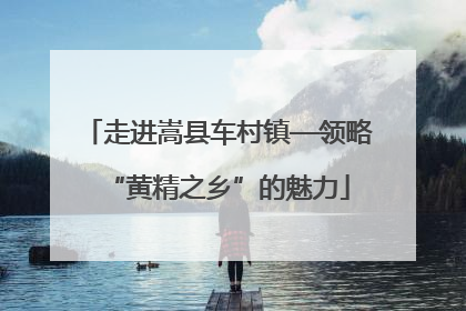 走进嵩县车村镇—领略“黄精之乡”的魅力