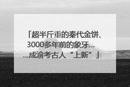 超半斤重的秦代金饼、3000多年前的象牙……成渝考古人“上新”