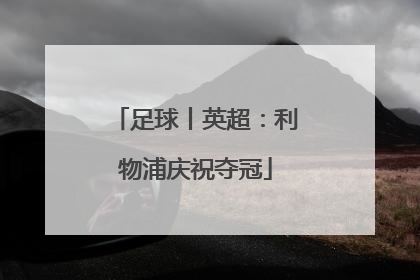 足球丨英超：利物浦庆祝夺冠