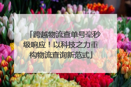 跨越物流查单号毫秒级响应！以科技之力重构物流查询新范式
