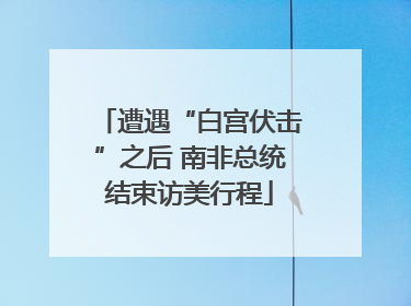 遭遇“白宫伏击”之后 南非总统结束访美行程