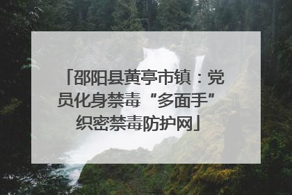 邵阳县黄亭市镇：党员化身禁毒“多面手” 织密禁毒防护网