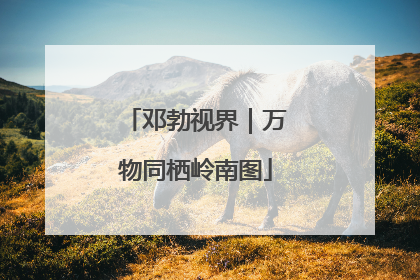 邓勃视界｜万物同栖岭南图