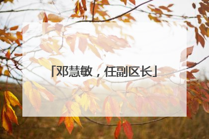 邓慧敏，任副区长