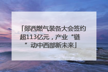 郧西燃气装备大会签约超113亿元，产业“链”动中西部新未来