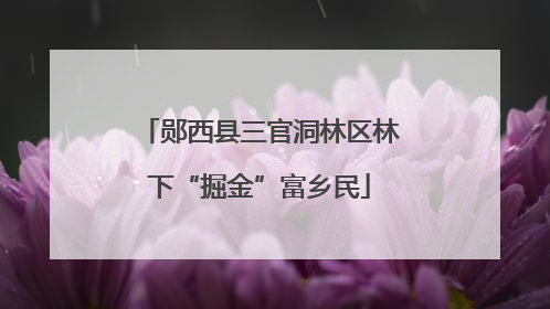 郧西县三官洞林区林下“掘金”富乡民