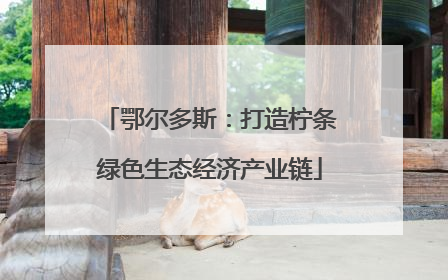 鄂尔多斯：打造柠条绿色生态经济产业链