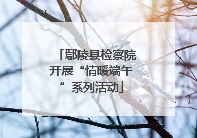鄢陵县检察院开展“情暖端午”系列活动