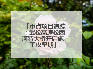 重点项目追踪：武松高速松西河特大桥开启施工攻坚期