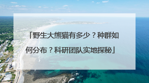 野生大熊猫有多少？种群如何分布？科研团队实地探秘