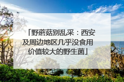 野蘑菇别乱采：西安及周边地区几乎没食用价值较大的野生菌
