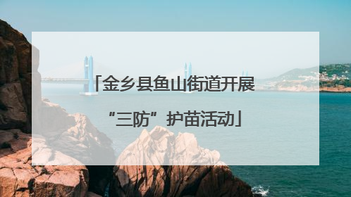 金乡县鱼山街道开展“三防”护苗活动