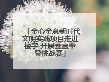 金心金意新时代文明实践项目走进楼宇 开展垂直攀登挑战赛