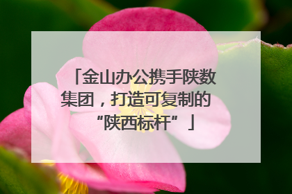 金山办公携手陕数集团，打造可复制的“陕西标杆”