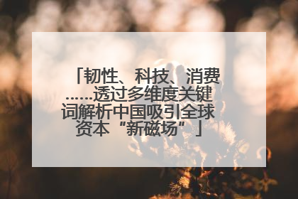 韧性、科技、消费……透过多维度关键词解析中国吸引全球资本“新磁场”