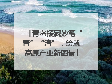 青岛援藏妙笔“青”“清”，绘就高原产业新图景