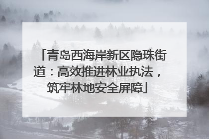 青岛西海岸新区隐珠街道：高效推进林业执法，筑牢林地安全屏障