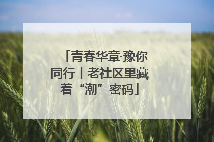 青春华章·豫你同行丨老社区里藏着“潮”密码