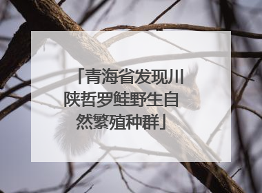 青海省发现川陕哲罗鲑野生自然繁殖种群