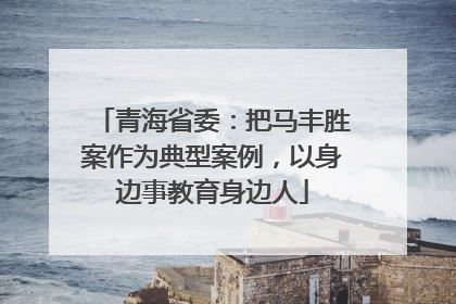 青海省委：把马丰胜案作为典型案例，以身边事教育身边人