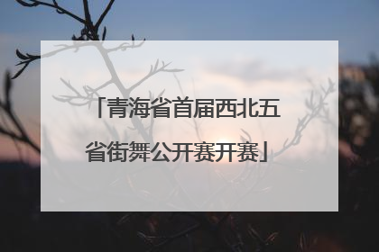 青海省首届西北五省街舞公开赛开赛