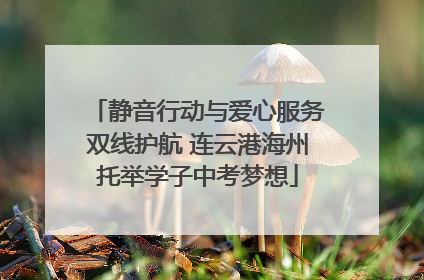 静音行动与爱心服务双线护航 连云港海州托举学子中考梦想