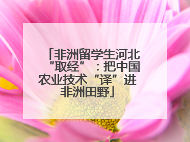 非洲留学生河北“取经”：把中国农业技术“译”进非洲田野