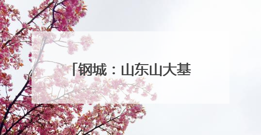 钢城：山东山大基础教育集团来了！